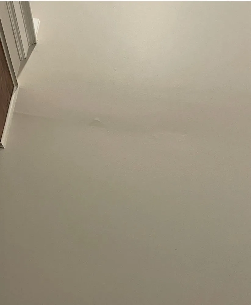 Slide of D-Wing Construction