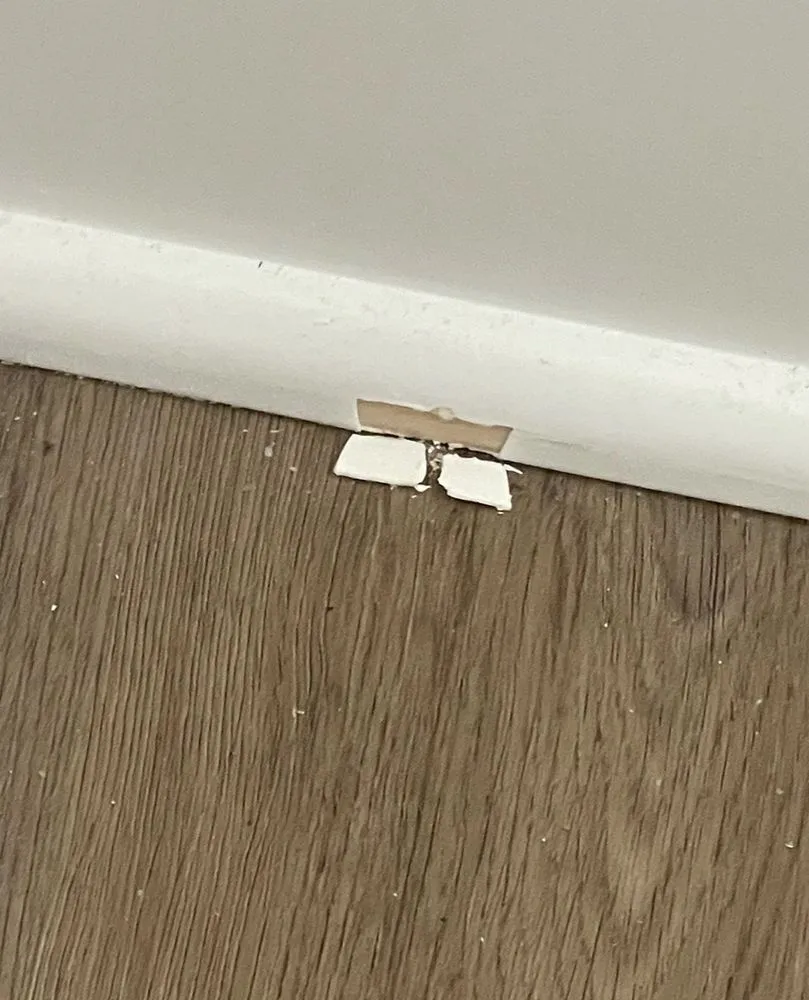 Slide of D-Wing Construction