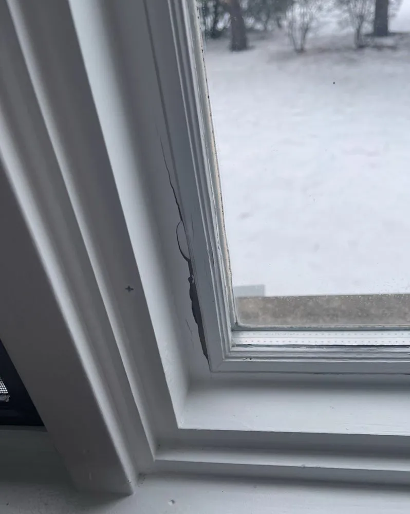 Slide of D-Wing Construction