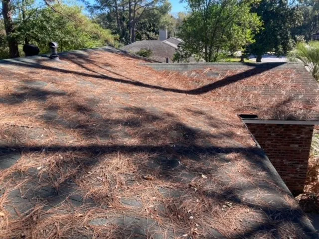 Slide of D&A Gutter Cleaning and Roof Blowing Services