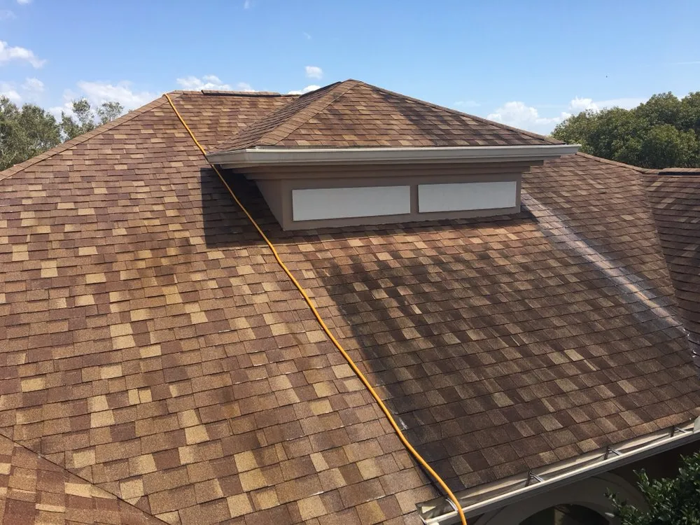 Slide of Da Vinci Clean