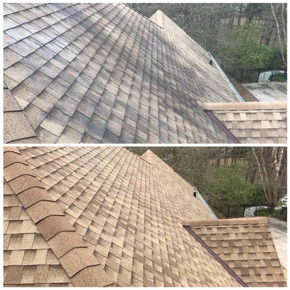 Slide of Da Vinci Clean