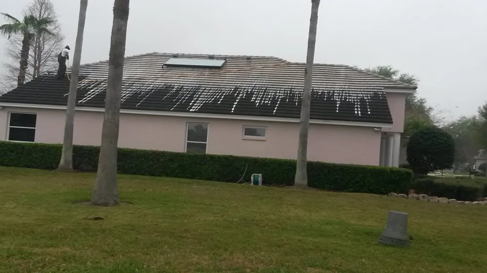 Slide of Da Vinci Clean