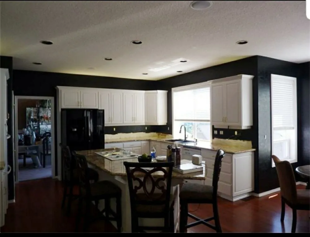 Slide of Da-Vinci Painting & Construction