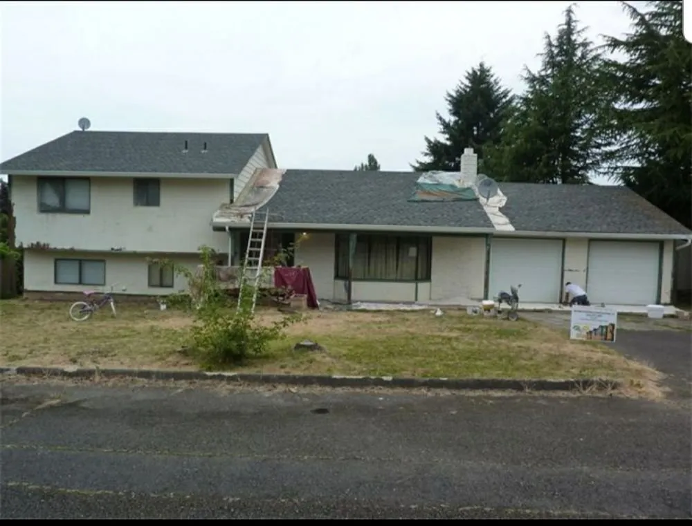 Slide of Da-Vinci Painting & Construction