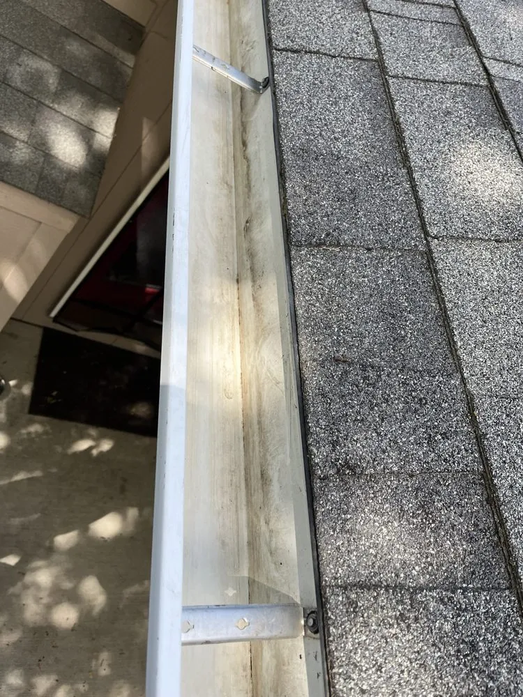 Slide of Dalmatian Gutters