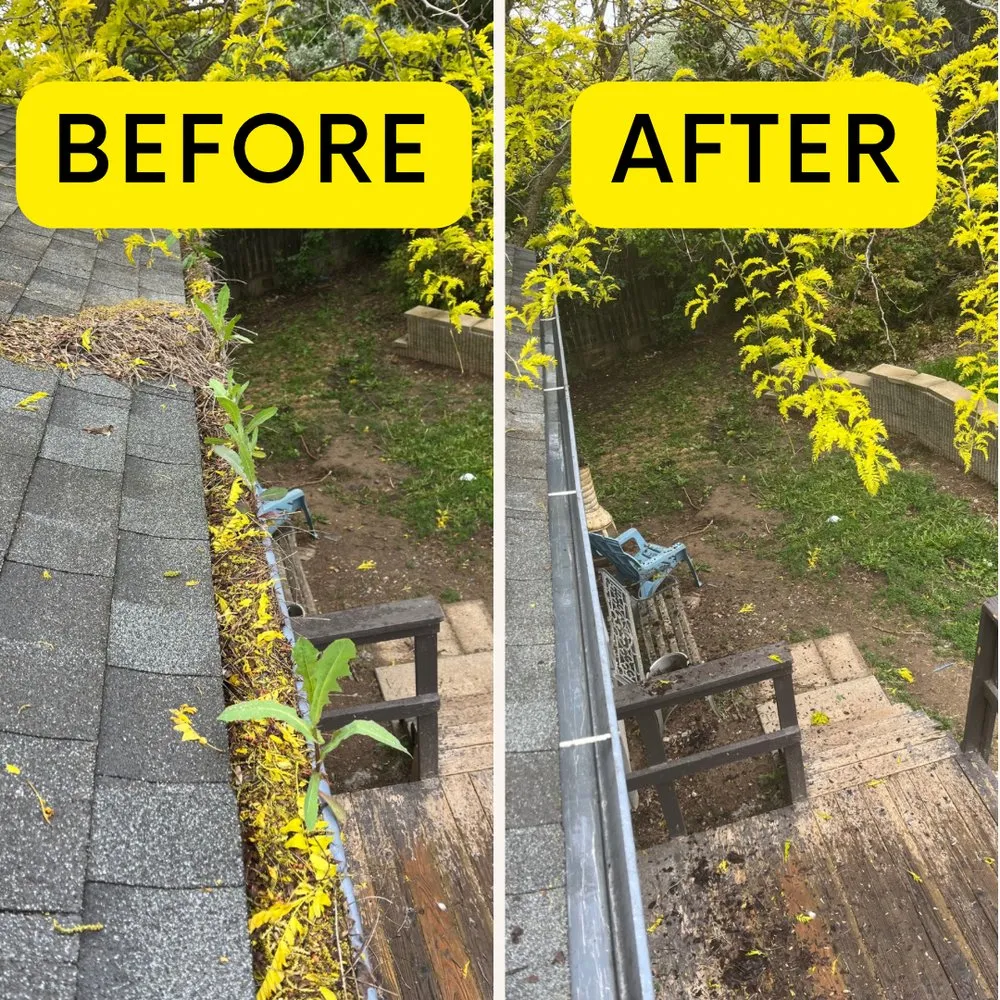 Slide of Dalmatian Gutters