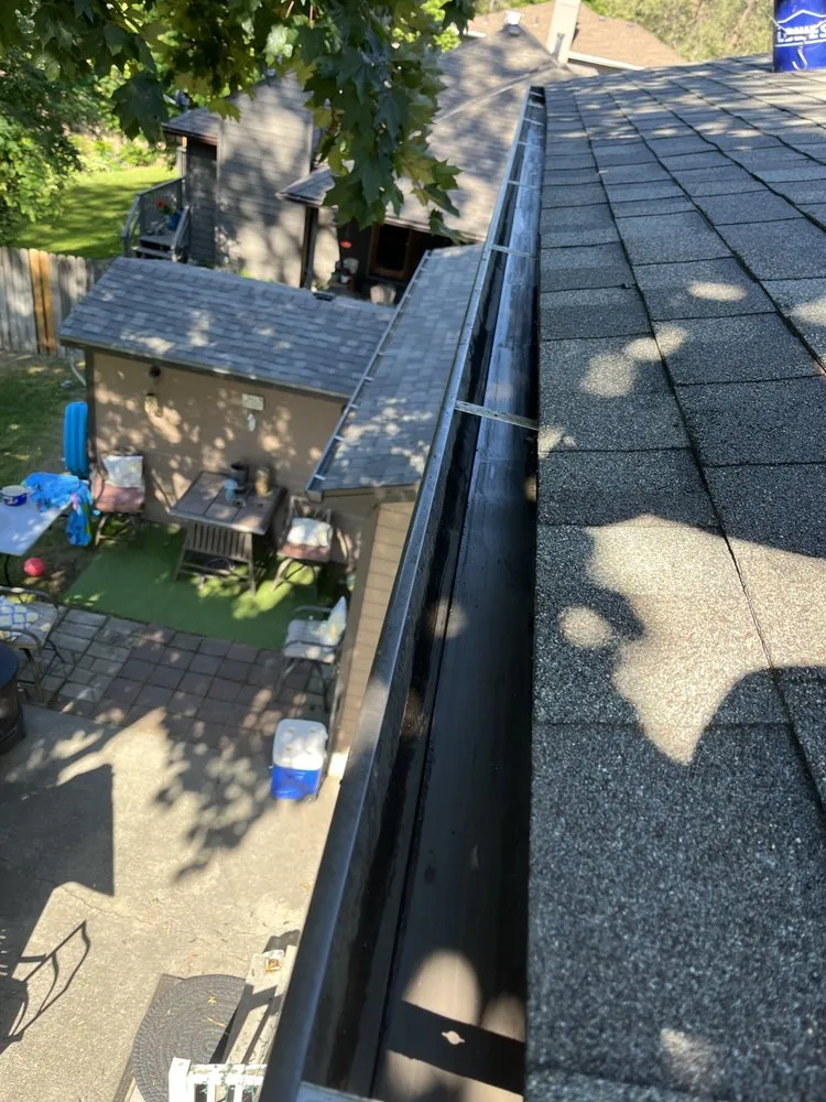 Slide of Dalmatian Gutters