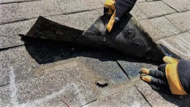 Slide of Dalton Roofers