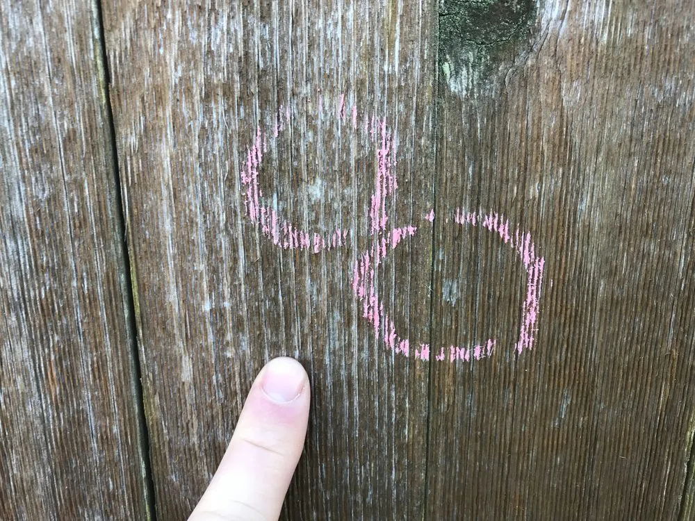 Slide of Damage Restorations Inc