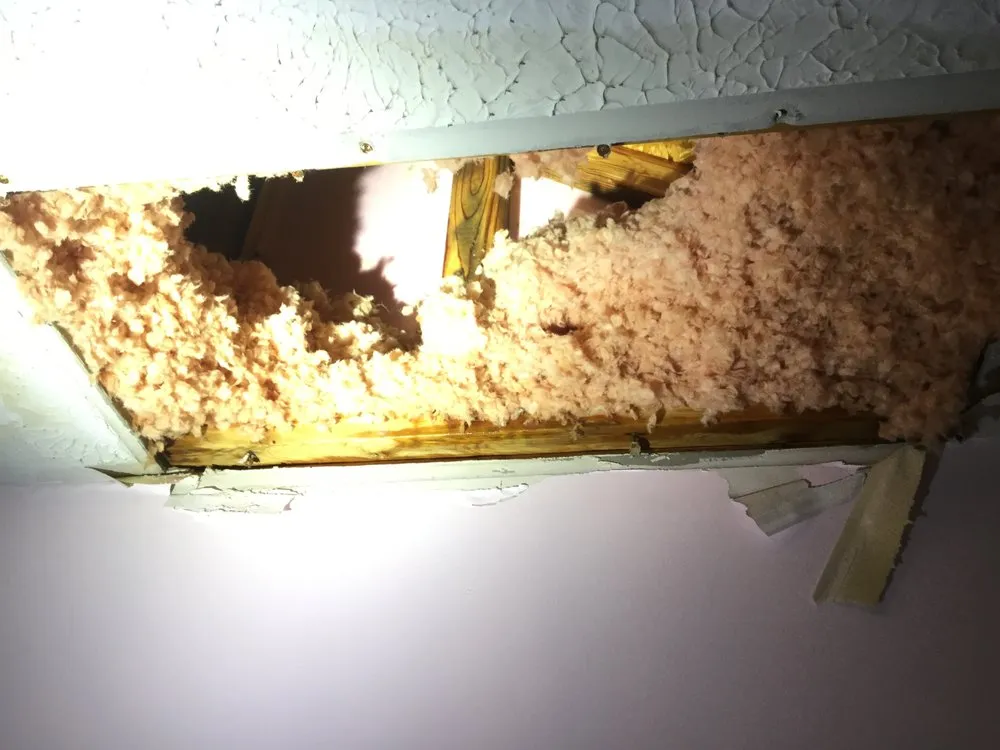 Slide of Damage Restorations Inc