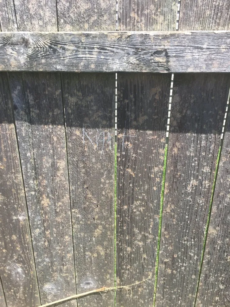 Slide of Damage Restorations Inc