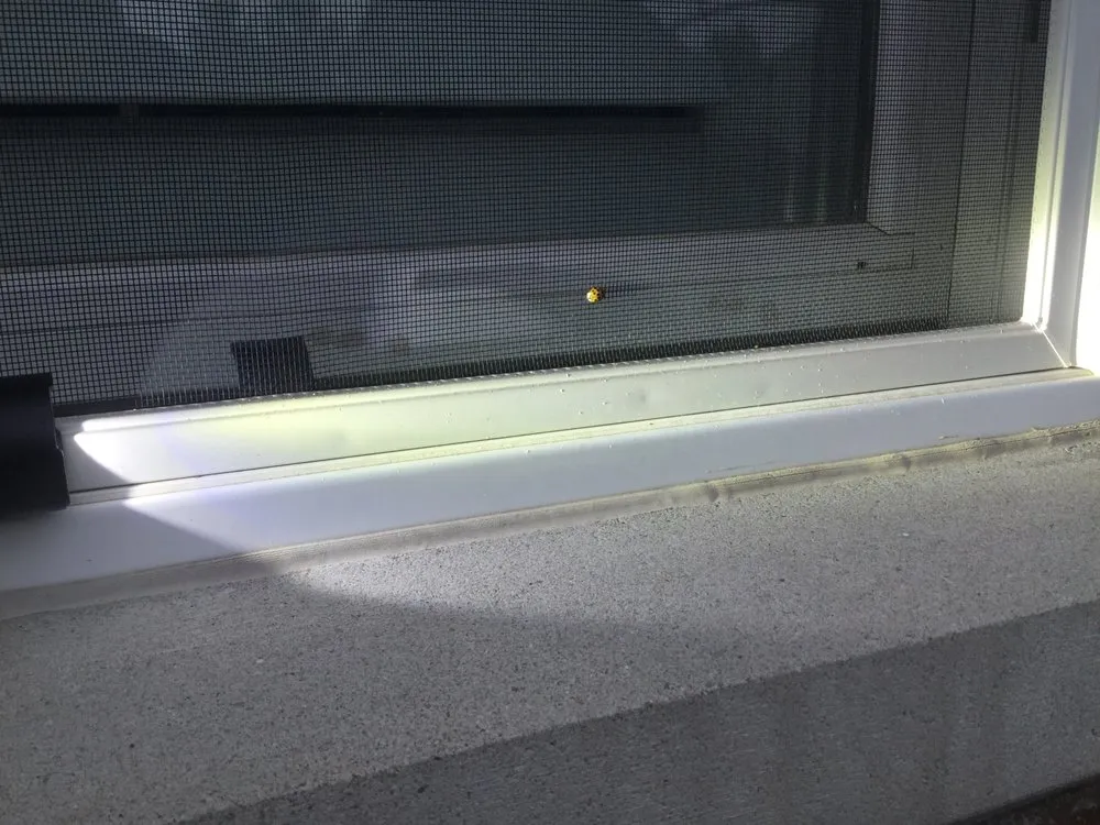 Slide of Damage Restorations Inc