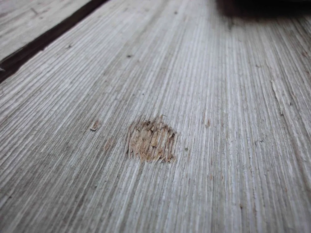 Slide of Damage Restorations Inc