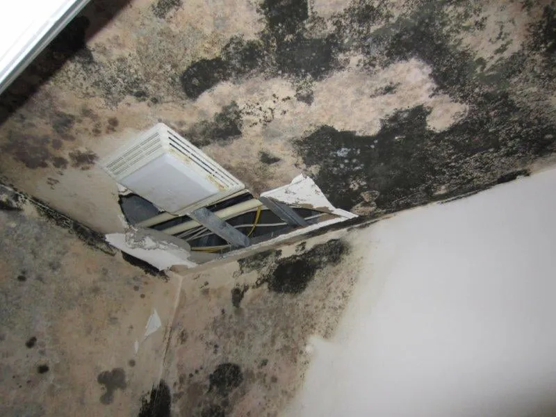 Slide of Damex Corporation