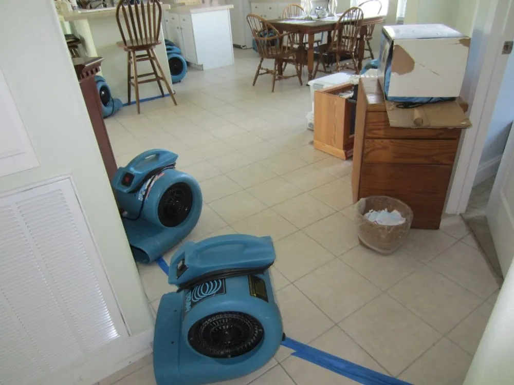 Slide of Damex Corporation