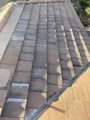 Dan Gerrity's Roofing Logo