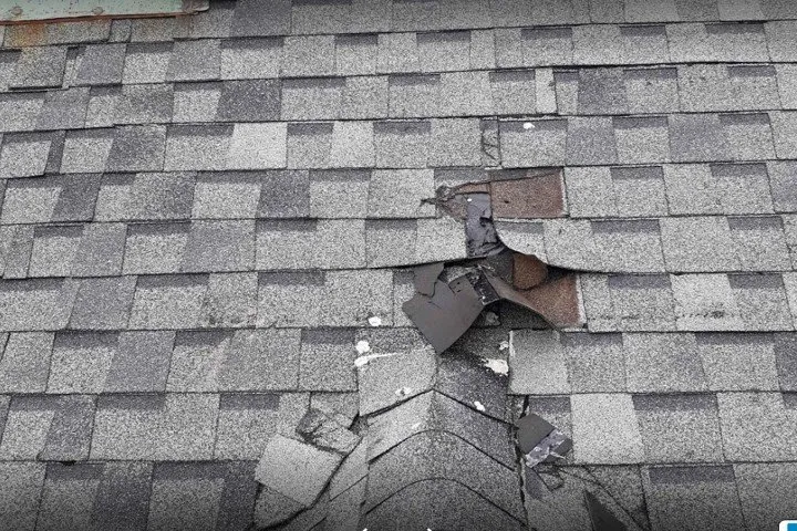 Slide of Dan The Gutter Man & Roof Repair