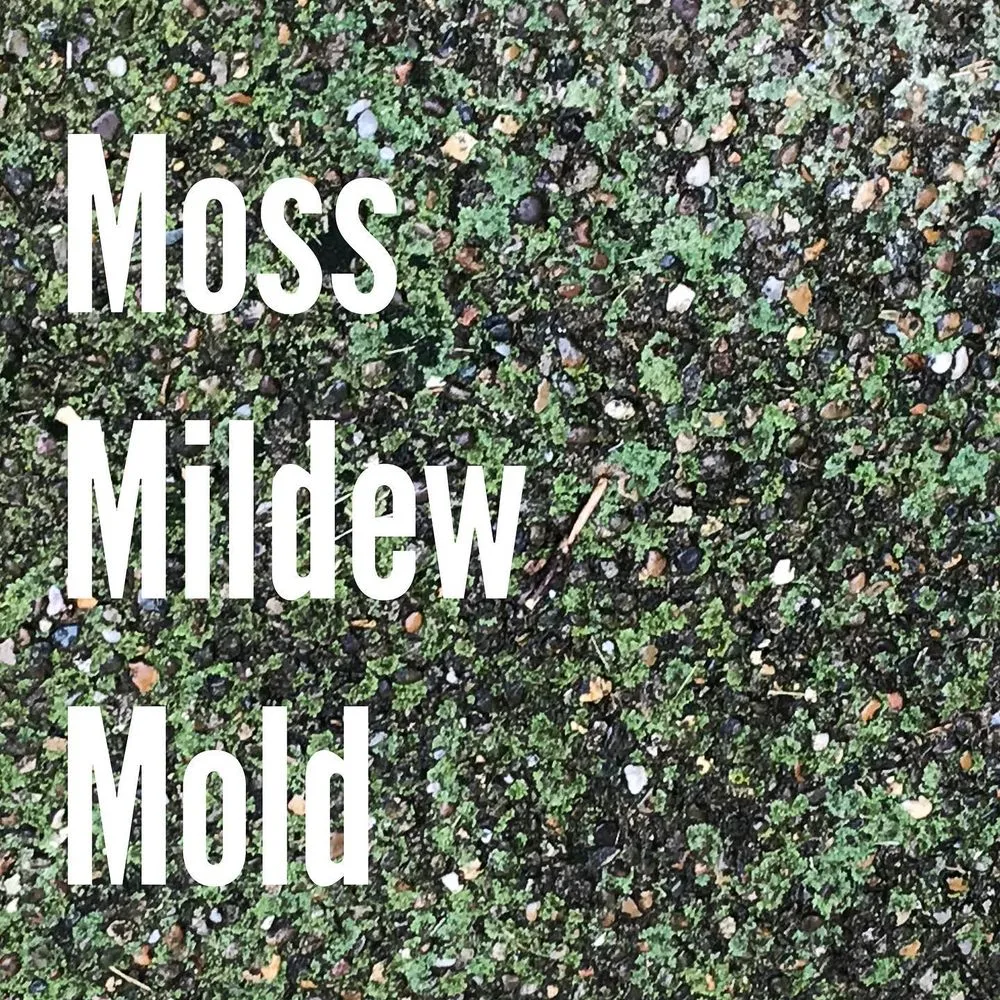 Slide of Daniel & Sons Soft Washing and Pressure Washing