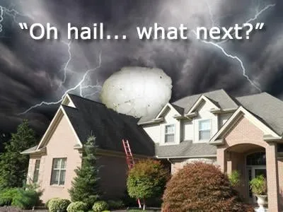 Slide of Daniel Nicholas Roofing