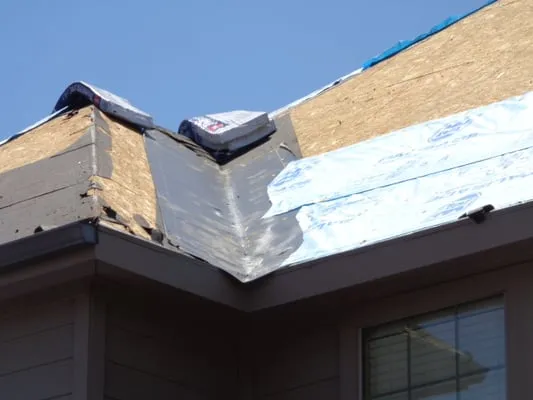 Daniel Nicholas Roofing