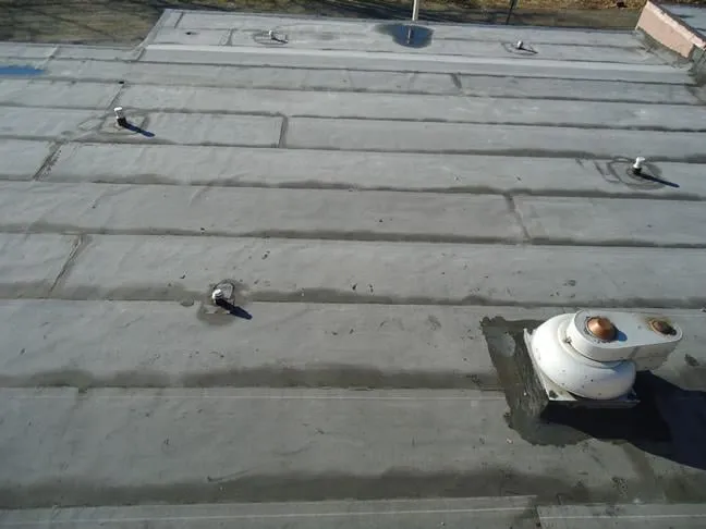 Slide of Daniele Construction