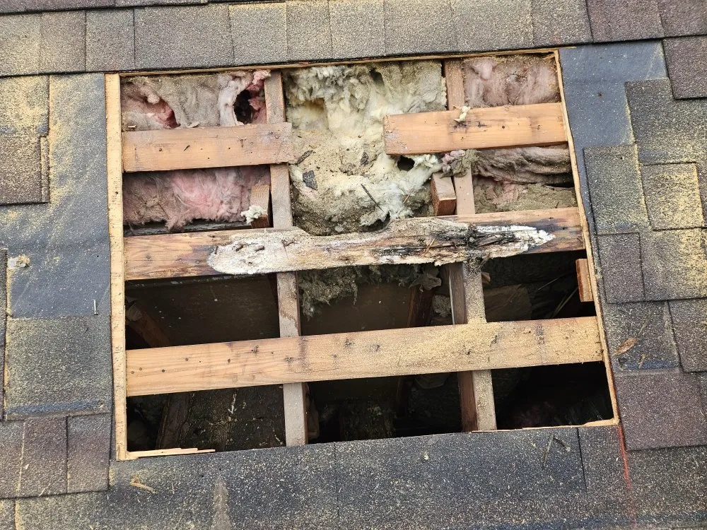 Slide of Daniel's Roofing and Painting