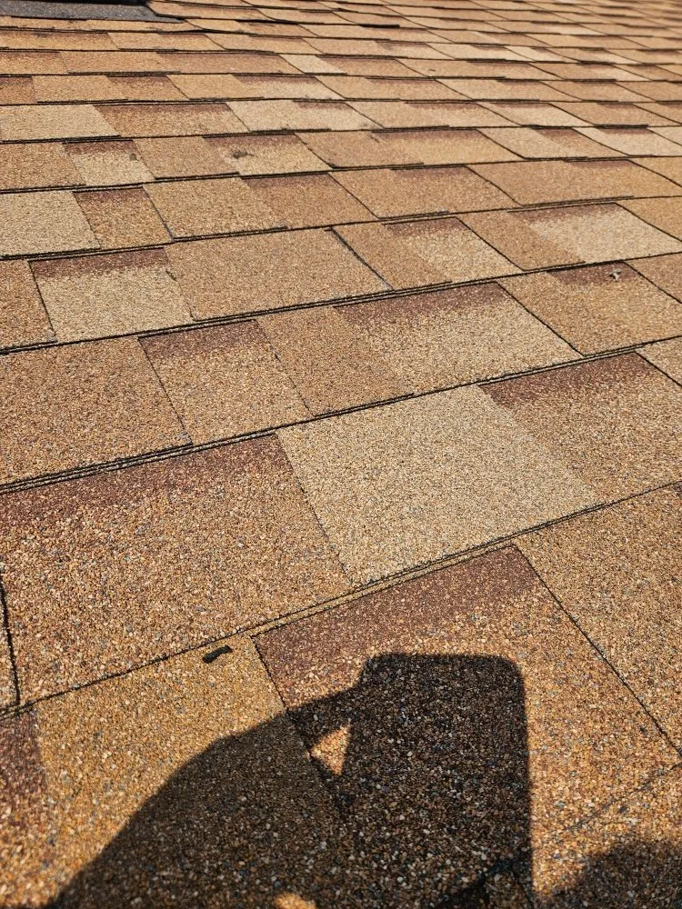 Slide of Daniel's Roofing and Painting