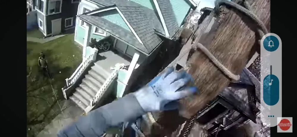 Slide of Daniels Tree Service