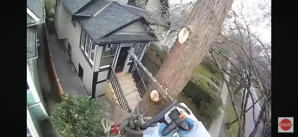 Slide of Daniels Tree Service