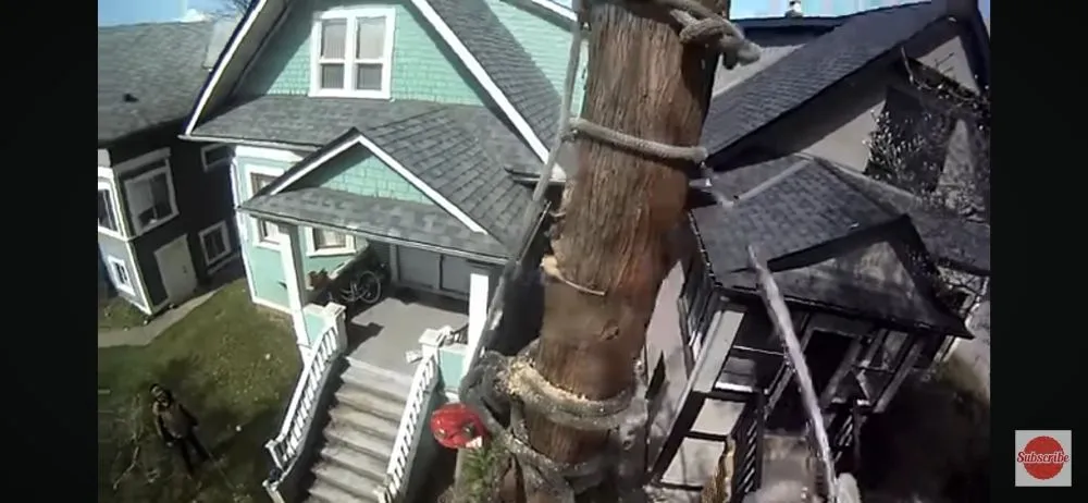 Slide of Daniels Tree Service