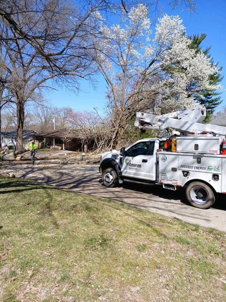 Slide of Daniels Tree Service