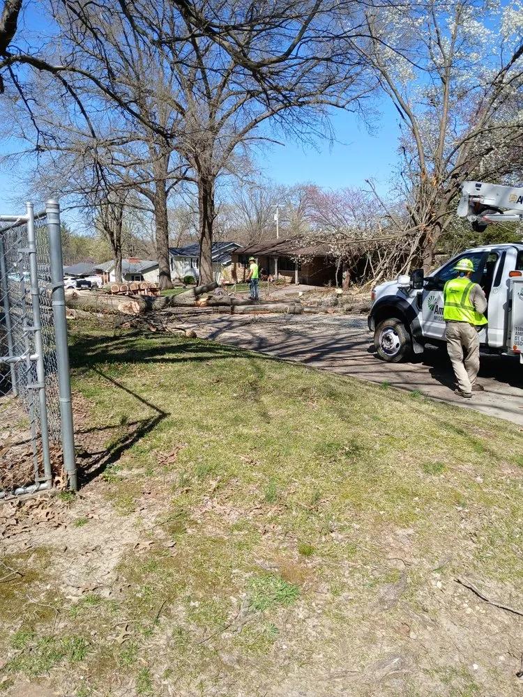 Slide of Daniels Tree Service