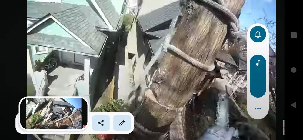 Slide of Daniels Tree Service