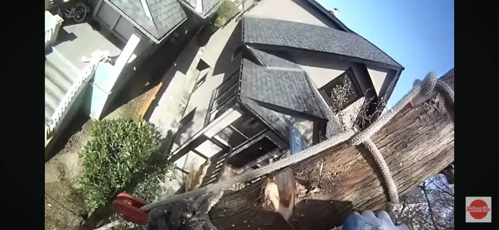 Slide of Daniels Tree Service