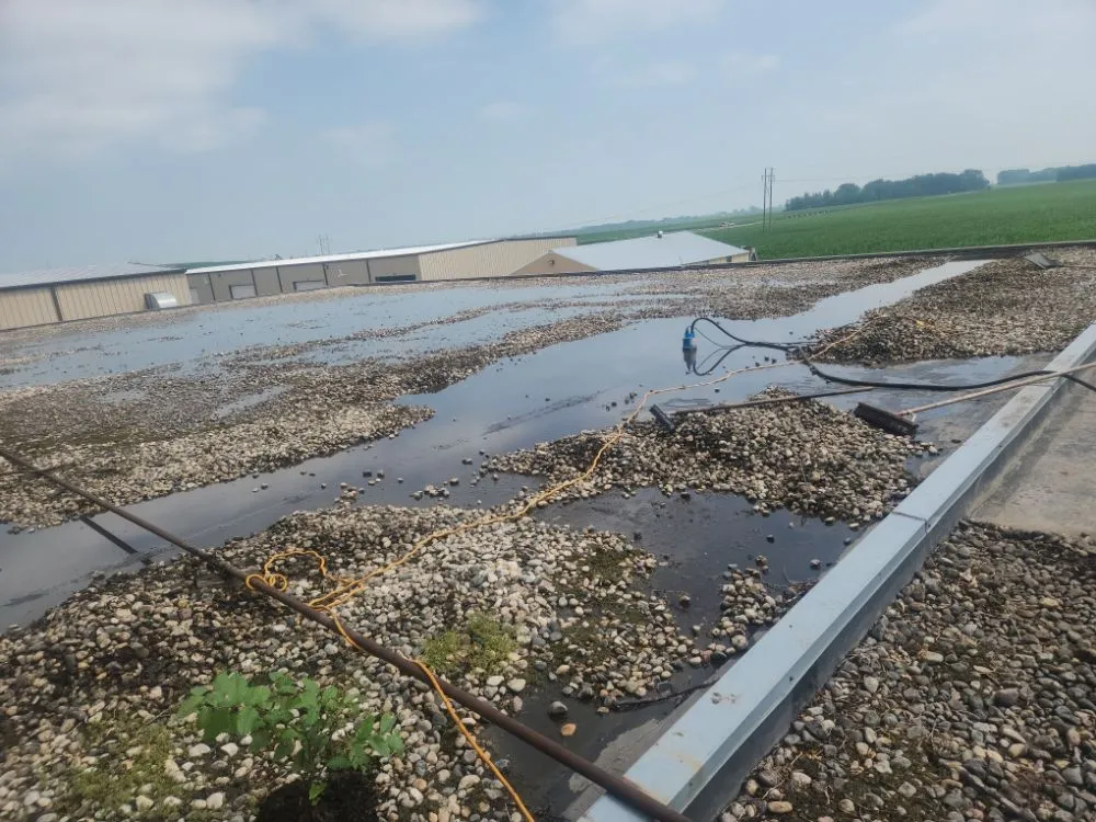 Licensed storm damage roof repair experts serving McCanna, ND - Dannsons Leak Repairs