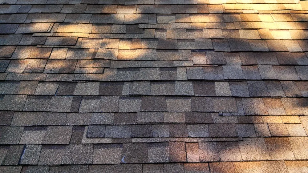 Slide of Dannucci Roofing