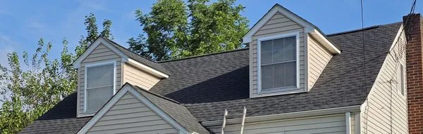 Dannucci Roofing