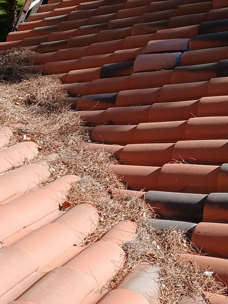 Slide of Danny's Roofing Service