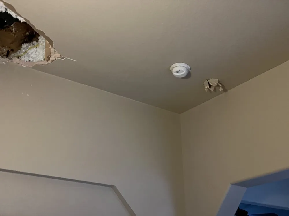 Slide of Danz Construction