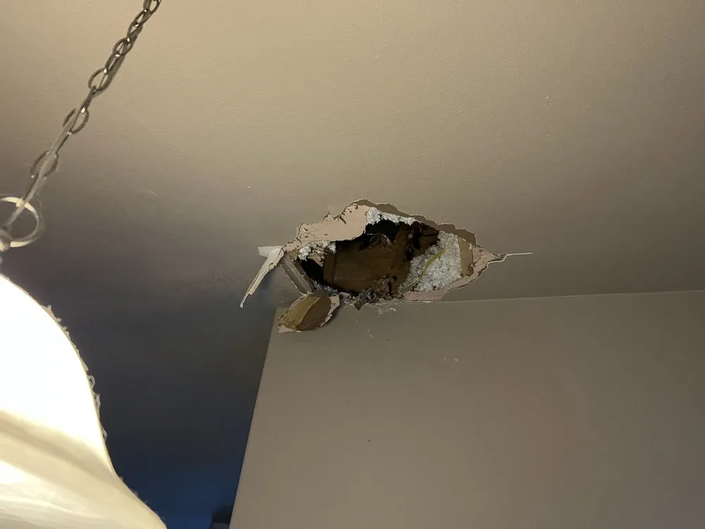 Slide of Danz Construction