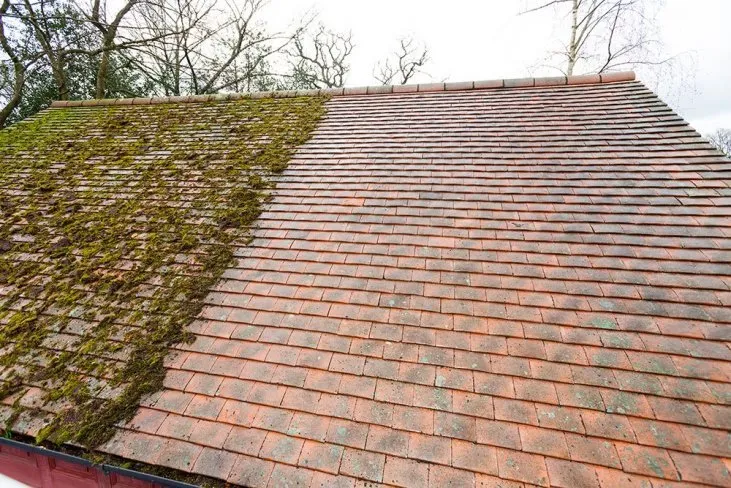 Local shingle roofing service in Montgomery, MI by Darbys Roof Washing