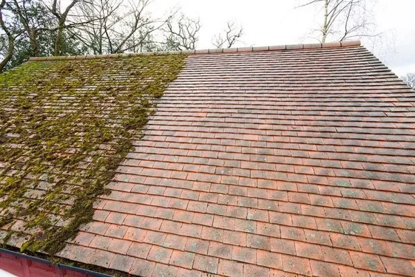 Darbys Roof Washing