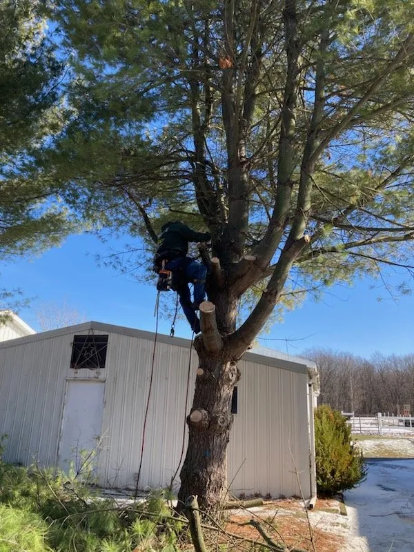 Licensed storm damage roof repair after storm damage in Brutus, MI by Darek Roman Service