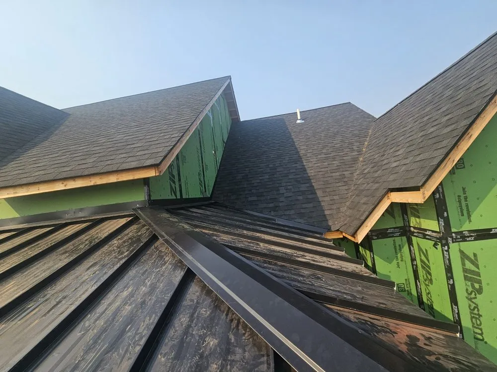 Slide of Dark Harvest