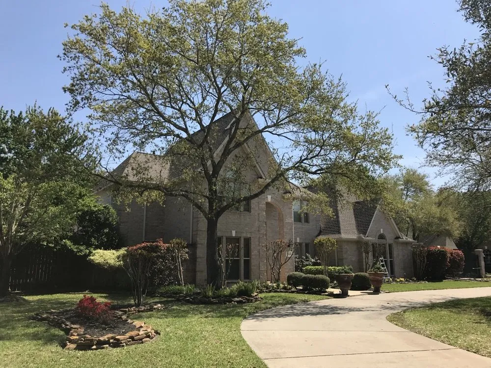 Slide of Dav Roofing & Construction