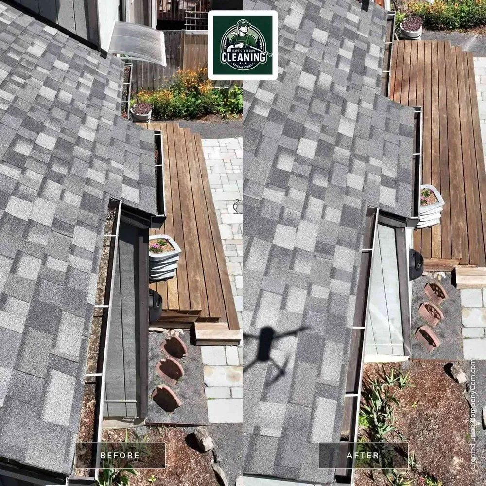 Slide of Dave's Exterior Cleaning