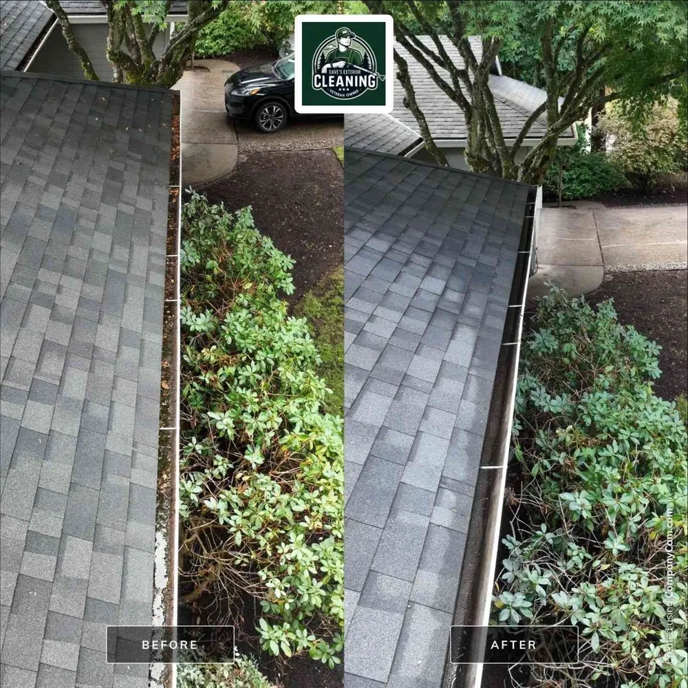 Slide of Dave's Exterior Cleaning