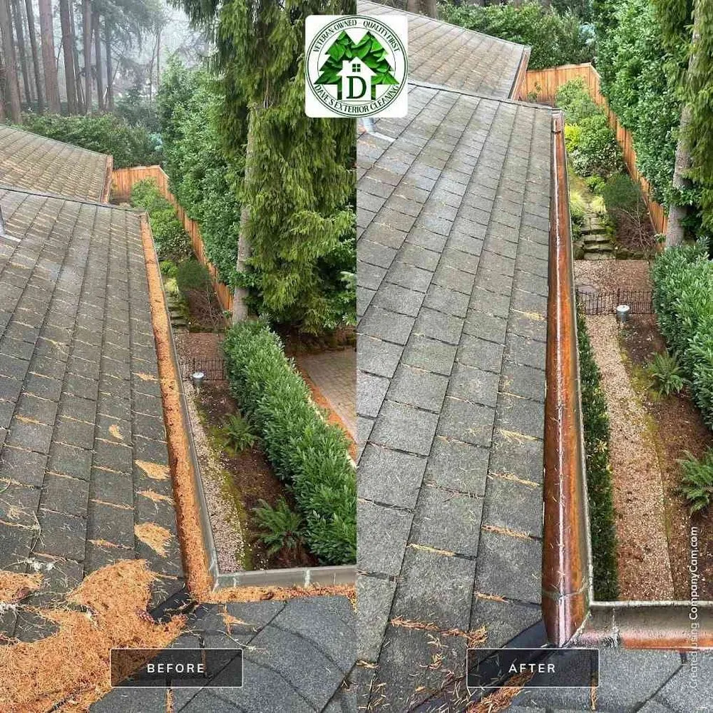 Slide of Dave's Exterior Cleaning