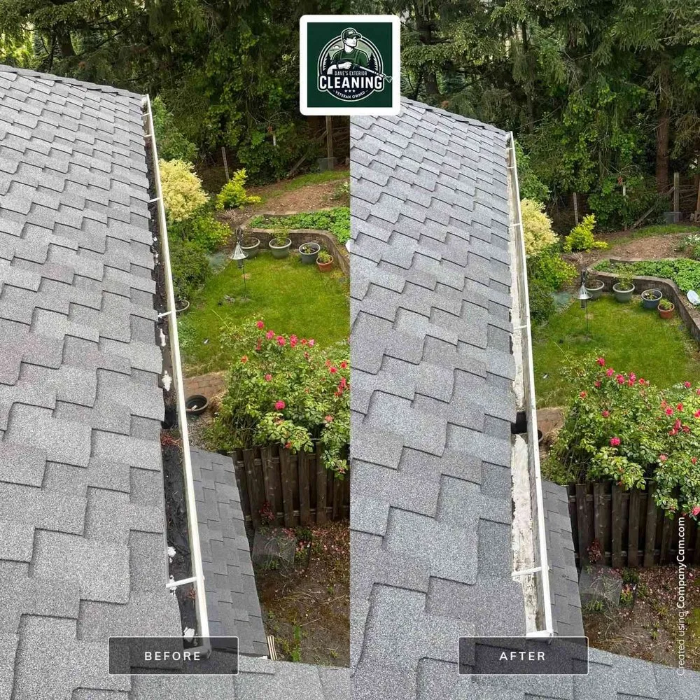 Slide of Dave's Exterior Cleaning